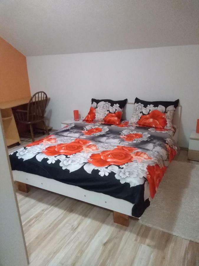Apartman Franjicic Korenica Esterno foto