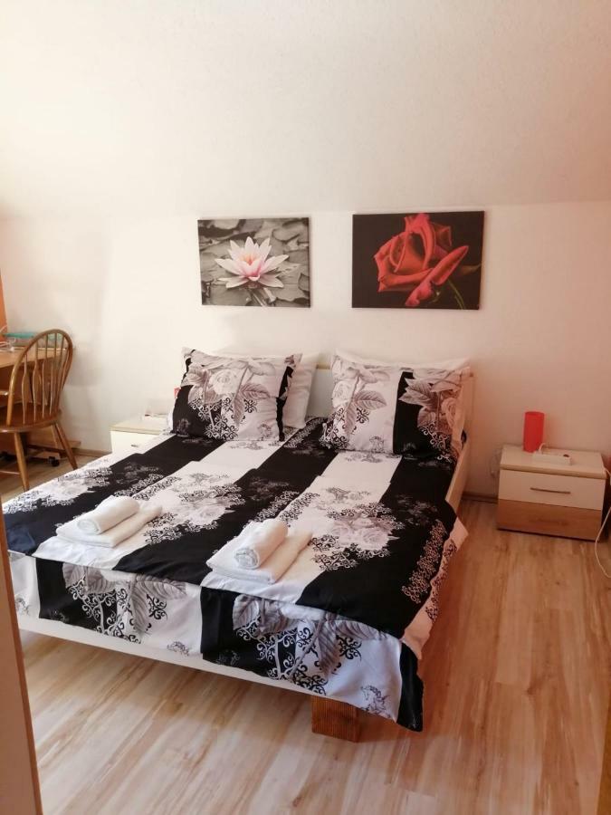 Apartman Franjicic Korenica Esterno foto
